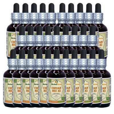 Chuan NIU Xi, Cyathula (Cyathula Officinalis) Tincture, Dried Root Liquid Extract (Brand Name: HerbalTerra, Proudly Made in USA) 30x2 fl.oz (30x60 ml)