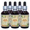 Aloe Ferox (Aloe Ferox) Tincture, Dried Leaf Liquid Extract (Brand Name: HerbalTerra, Proudly Made in USA) 5x2 fl.oz (5x60 ml) view 1