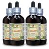 Alkanet (Alkanna Tinctoria) Tincture, Dried Root Liquid Extract (Brand name: HerbalTerra, Proudly made in USA) 4x4 fl.oz (4x120 ml) view 1