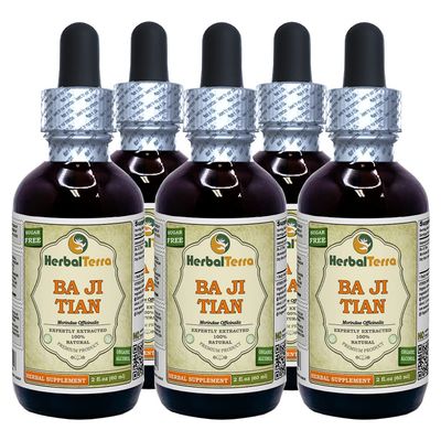 Ba Ji Tian, Morinda (Morindae Officinalis) Tincture, Dried Root Liquid Extract (Brand Name: HerbalTerra, Proudly Made in USA) 5x2 fl.oz (5x60 ml)