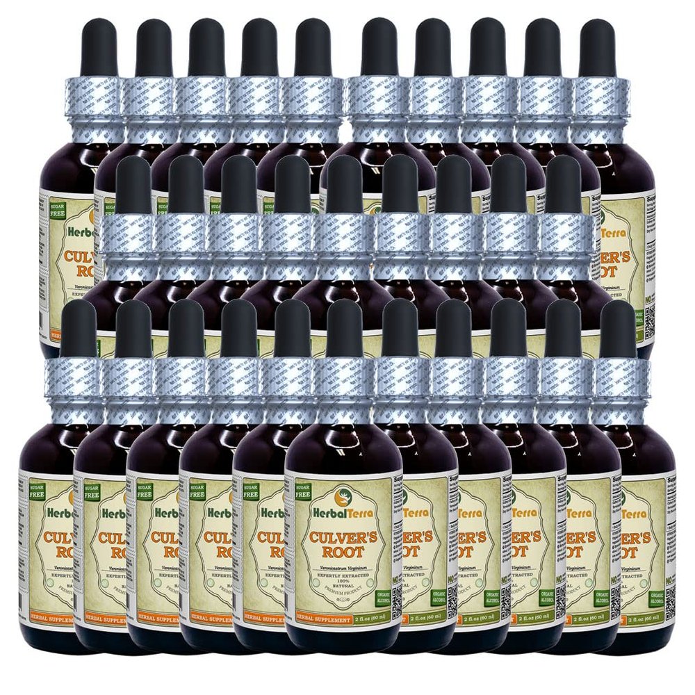 Culver's Root (Veronicastrum Virginicum) Tincture, Organic Dried Root Liquid Extract (Brand Name: HerbalTerra, Proudly Made in USA) 30x2 fl.oz (30x60 ml)