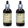 Galangal (Alpinia Galanga) Tincture, Organic Dried Root Liquid Extract (Brand Name: HerbalTerra, Proudly Made in USA) 2x4 fl.oz (2x120 ml) view 1