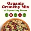 Food to Live Organic Crunchy Mix of Sprouting Beans, 5 Pounds - Non-GMO, Kosher, Non-Irradiated, Vegan, Raw, Dried, Bulk - Organic Green Peas, Adzuki, Lentil, Garbanzo view 4