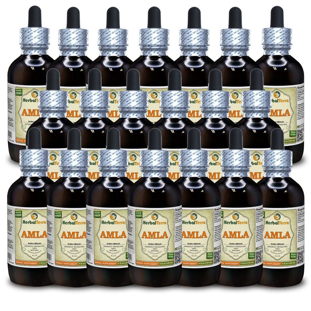 Amla (Phyllanthus Emblica) Tincture, Organic Liquid Extract (Brand Name: HerbalTerra, Proudly Made in USA) 20x4 fl.oz (20x120 ml)