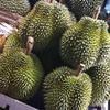 Durian - Freeze Dried - King of Fruits from Thailand - 50g view 2