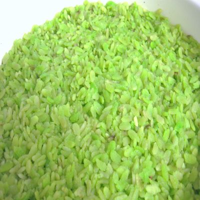 Dried Sweet Rice Flakes - Green Glutinous Rice Flakes 7oz