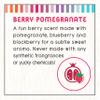 Little Twig Shampoo, Natural Plant Derived Formula, Berry Pomegranate, 17 fl oz. view 4