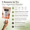 Agarikon Mushroom Powder Supplement 100g | Pure Fruiting Body 10:1 High Strength Extract | 30% Beta-D Glucans | 16,600mg Raw Equivalent Per Serving | Immune, Respiratory & Antioxidant Support view 2