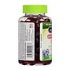 Vitafusion Extra Strength Biotin Gummies 5000 mcg, Blueberry 100 ea (Pack of 4) view 4
