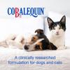 Nutramax Laboratories Cobalequin B12 Supplement for Cats and Small Dogs, 45 Count (Pack of 1) view 2