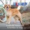 Nutramax Laboratories Cobalequin B12 Supplement for Medium to Large Dogs, 45 Chewable Tablets, Hydrolyzed Chicken, 2.08 ounces view 2