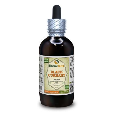 Black Currant (Ribes nigrum) Tincture, Dried Leaves Liquid Extract (Brand Name: HerbalTerra, Proudly Made in USA) 4 fl.oz (120 ml)