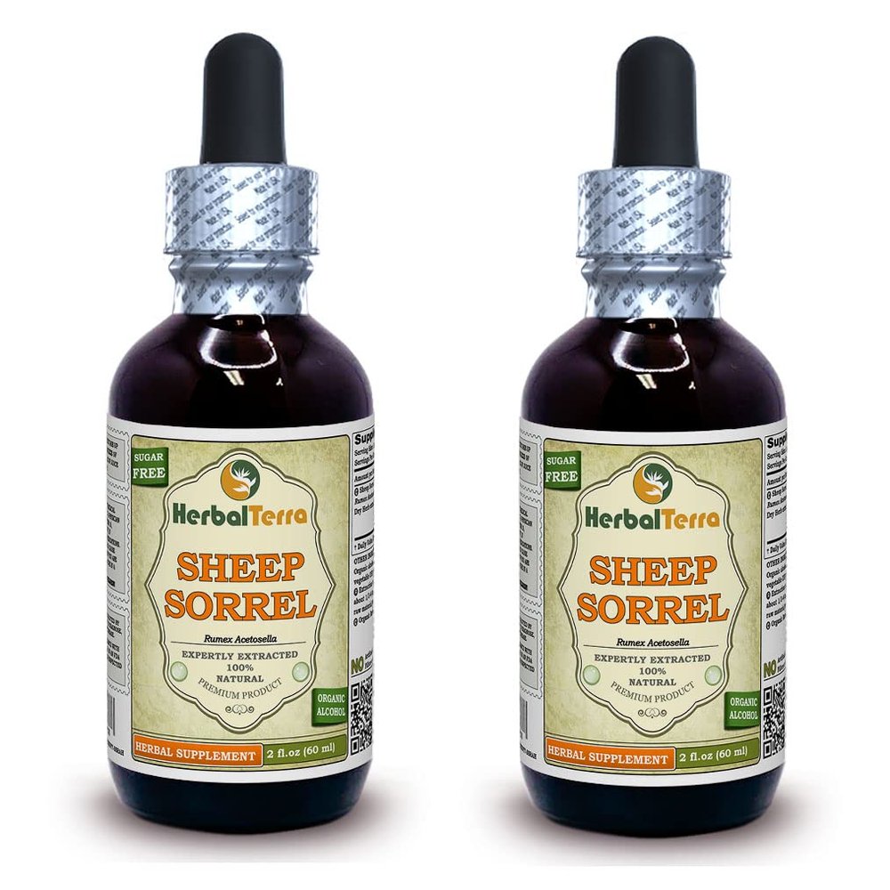 Sheep Sorrel (Rumex Acetosella) Tincture, Organic Dried Herb Liquid Extract (Brand Name: HerbalTerra, Proudly Made in USA) 2x2 fl.oz (2x60 ml)