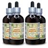 Lady's Mantle (Alchemilla Vulgaris) Tincture, Organic Dried Herbs Liquid Extract (Brand Name: HerbalTerra, Proudly Made in USA) 4x4 fl.oz (4x120 ml) view 1