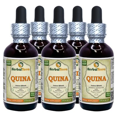 Quina (Cinchona Officinalis) Tincture, Dried Bark Liquid Extract (Brand name: HerbalTerra, Proudly made in USA) 5x2 fl.oz (5x60 ml)
