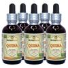 Quina (Cinchona Officinalis) Tincture, Dried Bark Liquid Extract (Brand name: HerbalTerra, Proudly made in USA) 5x2 fl.oz (5x60 ml) view 1