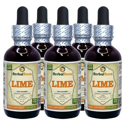 Lime (Key Lime Aurantifolia) Tincture, Organic Dried Peel Liquid Extract (Brand name: HerbalTerra, Proudly made in USA) 5x2 fl.oz (5x60 ml)