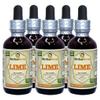 Lime (Key Lime Aurantifolia) Tincture, Organic Dried Peel Liquid Extract (Brand name: HerbalTerra, Proudly made in USA) 5x2 fl.oz (5x60 ml) view 1