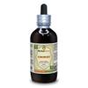 Lungwort (Pulmonaria Officinalis) Tincture, Organic Dried Leaves Liquid Extract (Brand Name: HerbalTerra, Proudly Made in USA) 4 fl.oz (120 ml) view 1