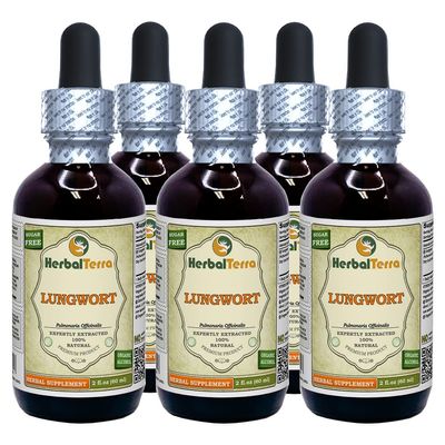 Lungwort (Pulmonaria Officinalis) Tincture, Organic Dried Leaves Liquid Extract (Brand Name: HerbalTerra, Proudly Made in USA) 5x2 fl.oz (5x60 ml)