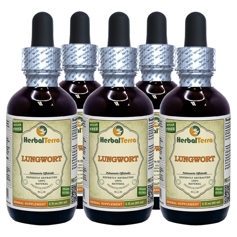 Lungwort (Pulmonaria Officinalis) Tincture, Organic Dried Leaves Liquid Extract (Brand Name: HerbalTerra, Proudly Made in USA) 5x2 fl.oz (5x60 ml)