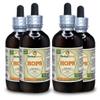 Hops (Humulus Lupulus) Tincture, Organic Dried Flowers Liquid Extract (Brand Name: HerbalTerra, Proudly Made in USA) 4x4 fl.oz (4x120 ml) view 1
