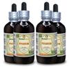 African Cherry Pygeum (Prunus Africana) Tincture, Organic Dried Bark Liquid Extract (Brand Name: HerbalTerra, Proudly Made in USA) 4x4 fl.oz (4x120 ml) view 1