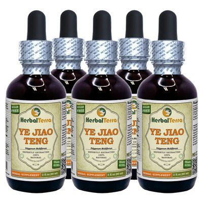 Ye Jiao Teng (Shou Wu Teng), Polygonum (Polygonum Multiflorum) Tincture, Dried Vine Liquid Extract (Brand Name: HerbalTerra, Proudly Made in USA) 5x2 fl.oz (5x60 ml)