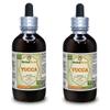 Yucca (Yucca Glauca) Tincture, Dried Roots Liquid Extract (Brand Name: HerbalTerra, Proudly Made in USA) 2x4 fl.oz (2x120 ml) view 1