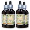 Soapwort (Saponaria officinalis) Tincture, Organic Dried Roots Liquid Extract (Brand Name: HerbalTerra, Proudly Made in USA) 4x4 fl.oz (4x120 ml) view 1