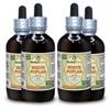 White Poplar (Populus Alba) Tincture, Dried Bark Liquid Extract (Brand name: HerbalTerra, Proudly made in USA) 4x4 fl.oz (4x120 ml) view 1