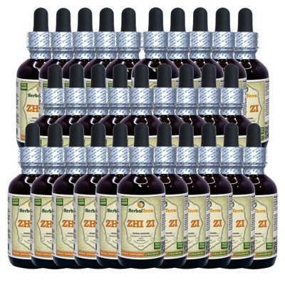 Zhi Zi, Gardenia (Gardenia Jasminoides) Tincture, Organic Dried Fruit Liquid Extract (Brand Name: HerbalTerra, Proudly Made in USA) 30x2 fl.oz (30x60 ml)