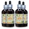 Zhen Zhu Mu, Pearl Shell (Pinctada Margaritifera) Tincture, Dried Concha Liquid Extract (Brand name: HerbalTerra, Proudly made in USA) 4x4 fl.oz (4x120 ml) view 1