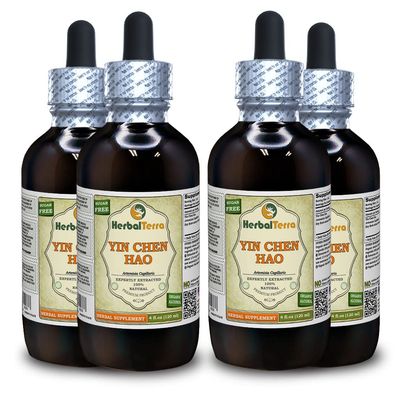 Yin Chen Hao (Artemisia Capillaris) Tincture, Organic Dried Herb Liquid Extract (Brand Name: HerbalTerra, Proudly Made in USA) 4x4 fl.oz (4x120 ml)