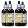 Yin Chen Hao (Artemisia Capillaris) Tincture, Organic Dried Herb Liquid Extract (Brand Name: HerbalTerra, Proudly Made in USA) 4x4 fl.oz (4x120 ml) view 1