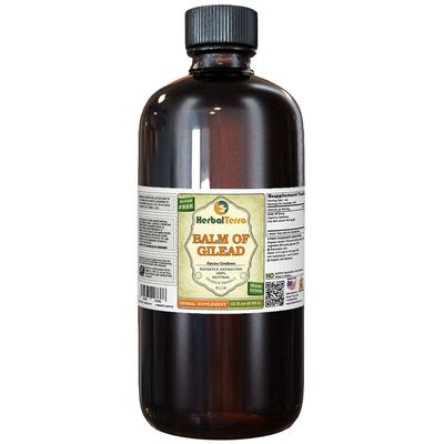Balm Of Gilead (Populus candicans) Tincture, Organic Dried Buds Liquid Extract (Brand name: HerbalTerra, Proudly made in USA) 32 fl.oz (0.95 l)