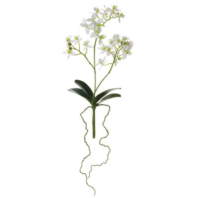 SilksAreForever 14" Hand-Wrapped Phalaenopsis Orchid Plant Silk Flower Stem -White (Pack of 12)