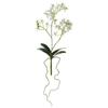 SilksAreForever 14" Hand-Wrapped Phalaenopsis Orchid Plant Silk Flower Stem -White (Pack of 12) view 1