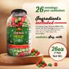Stonehedge Farms Christmas Kettle Corn Popcorn | 26 oz Large Tub | Perfect for the Holidays | Green and Red | Bulk Gourmet Popped Sweet Snacks | Pop Corn Gift view 2