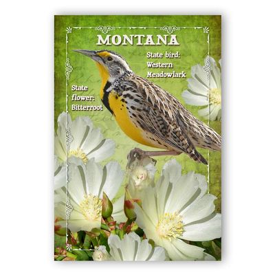 Montana Bird & Flower Set of 20