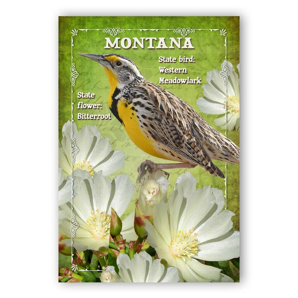 Montana Bird & Flower Set of 20