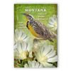 Montana Bird & Flower Set of 20 view 1