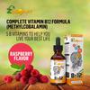 Zoomavit Vitamin B Complex Liquid Drops with Fast Absorption - Super B Liquid Complex Vitamins B2, B3, B5, B6 & B12 - Natural Energy Boost, Mental Focus & Healthy Immune System view 3