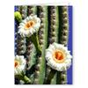 Stonehouse Collection | Saguaro Cactus Western Thank You Note Card | 12 Boxed Cards & Envelopes | Desert Cactus Note Cards view 4