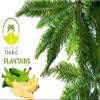 Artisan Tropic Plantain Strips - Your Tasty and Healthy Snack Alternative - Paleo, Gluten Free, Vegan, Non-GMO - Made With Sustainable Palm Oil and No Added Sugar (Sweet, 4.5 oz|12 pack) view 4
