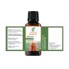 Hedychium (Kapoor Kachari) Oil (Hedychium Spicatum) Essential Oil 100% Pure Natural Undiluted Uncut Therapeutic Grade Oil 3.38 FL.OZ view 2