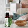 Curry Leaf Oil (Murraya Koenigii) Essential Oil 100% Pure Natural Undiluted Uncut Therapeutic Grade Oil 16.90 Fl.OZ view 4