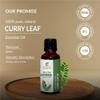 Curry Leaf Oil (Murraya Koenigii) Essential Oil 100% Pure Natural Undiluted Uncut Therapeutic Grade Oil 8.45 Fl.OZ view 3
