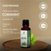 Cornmint Oil (Mentha Arvensis) Essential Oil 100% Pure Natural Undiluted Uncut Therapeutic Grade Oil 16.90 Fl.OZ view 3
