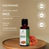 Mace Oil (Myristica Fragrans) Essential Oil 100% Pure Natural Undiluted Uncut Therapeutic Grade Oil 8.45 Fl.OZ view 2